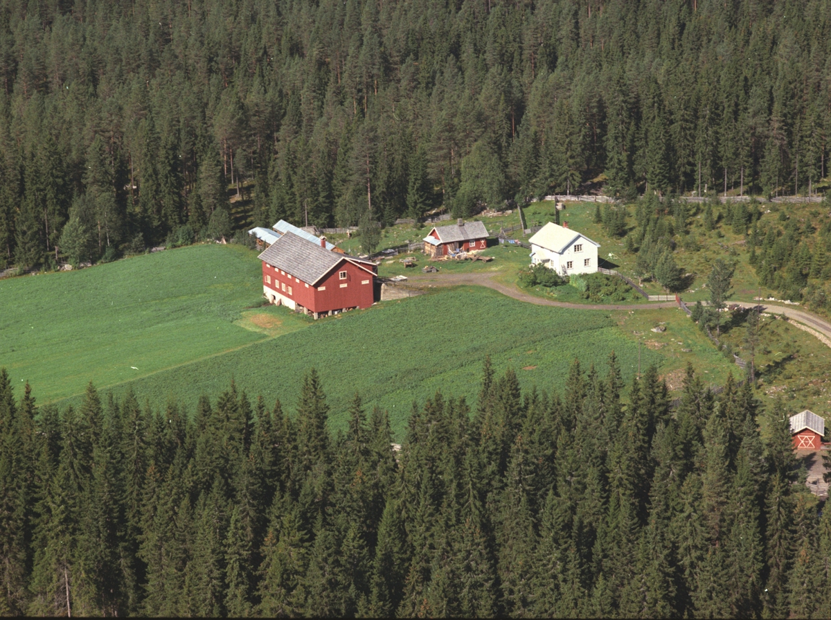 Widerøes Flyveselskap A/S, Flyfoto, Kluftmoen, Næroset, Ringsaker.