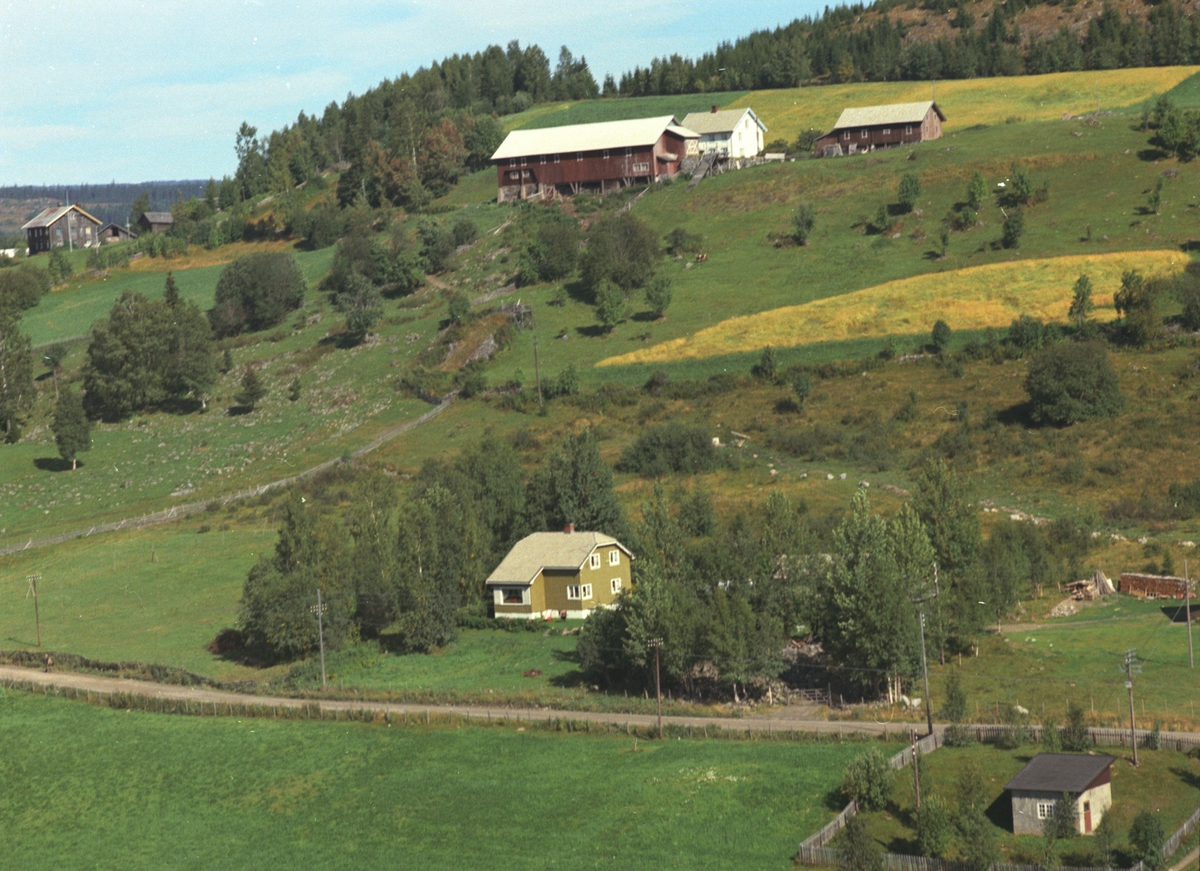 Widerøes Flyveselskap A/S, Flyfoto, Solbakken, Åsmarka, Ringsaker.