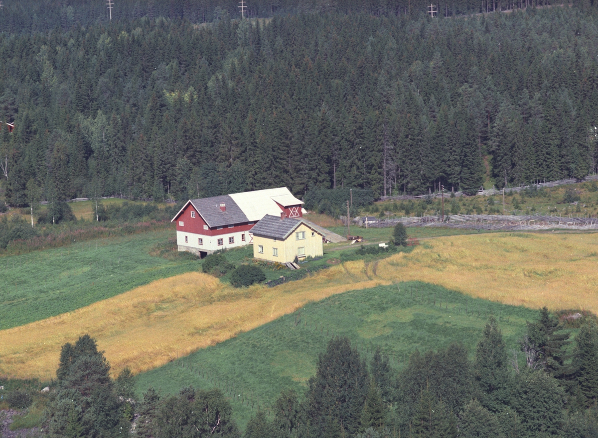 Widerøes Flyveselskap A/S, Flyfoto, Borshaug, Åsmarka, Ringsaker.
