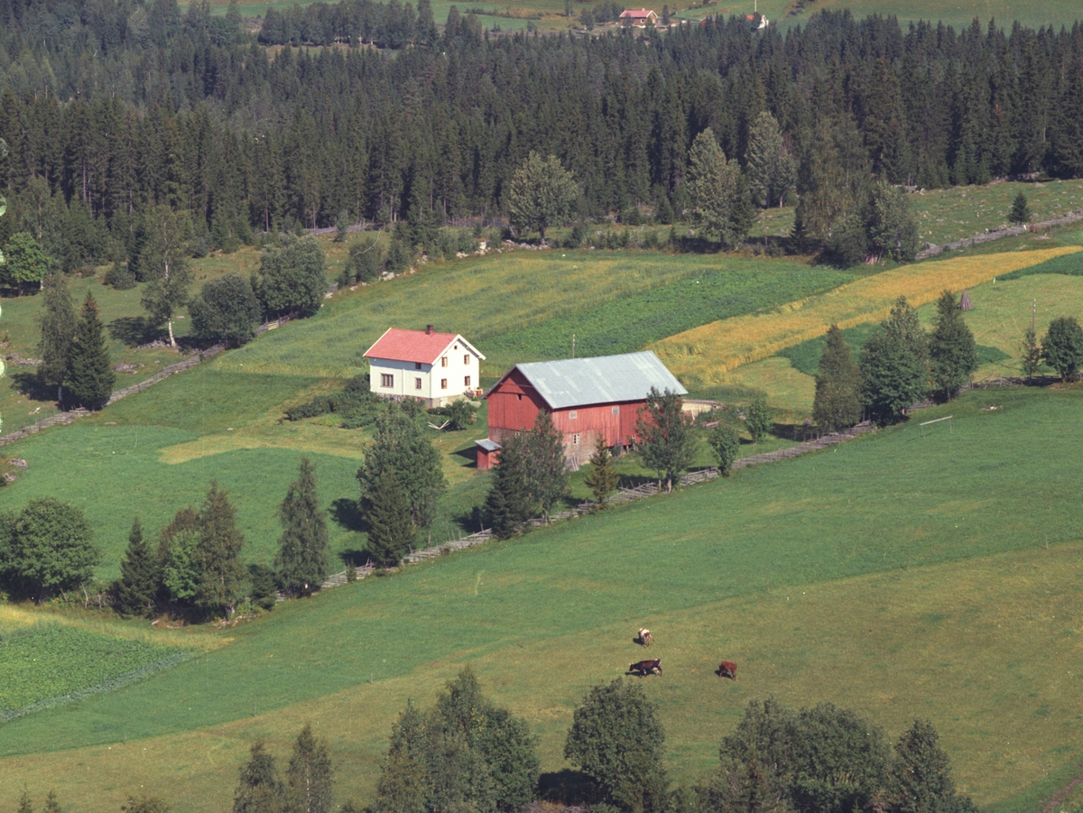Widerøes Flyveselskap A/S, Flyfoto, Storsveen, Åsmark, Ringsaker.