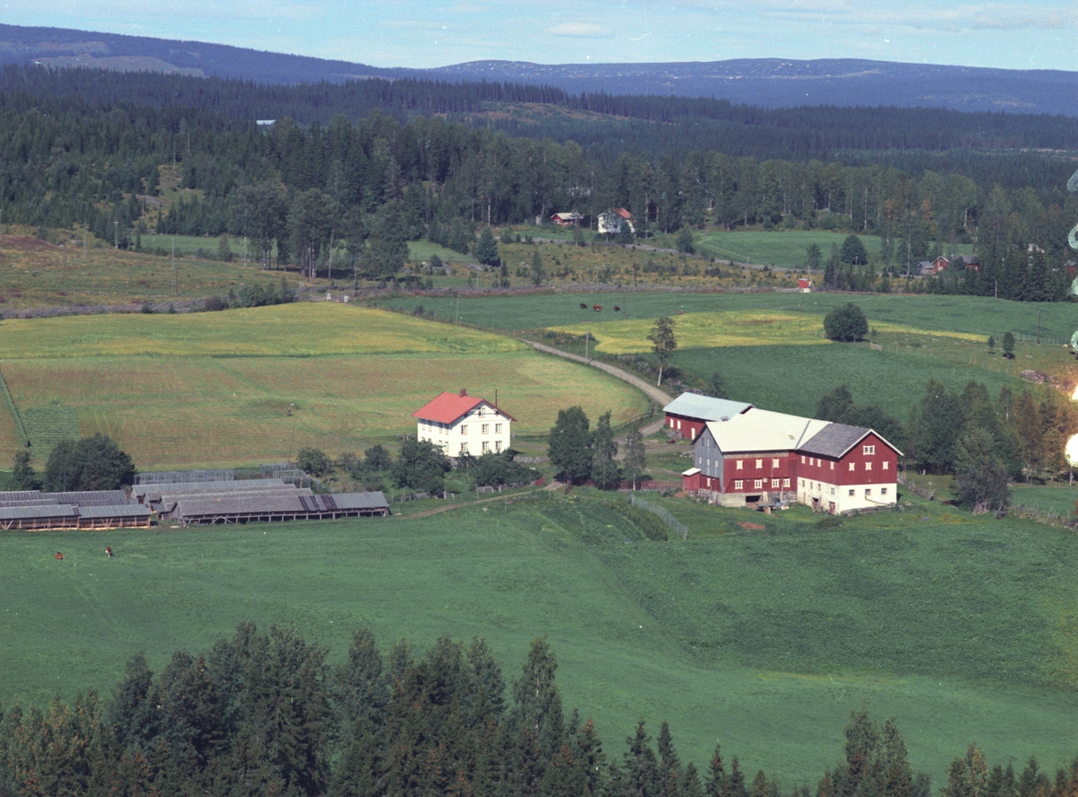 Widerøes Flyveselskap A/S, Flyfoto, Bjørklia søndre, Åsmarka, Ringsaker.