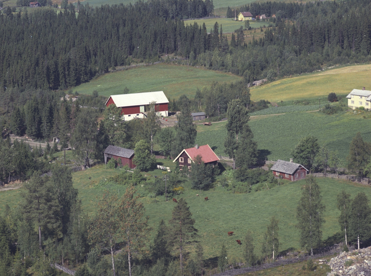 Widerøes Flyveselskap A/S, Flyfoto, Olsveengen, Åsmarka, Ringsaker.