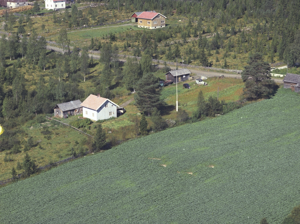 Widerøes Flyveselskap A/S, Flyfoto, Østby, g.nr. 451.8. Flyfoto, Lismarka, Ringsaker.