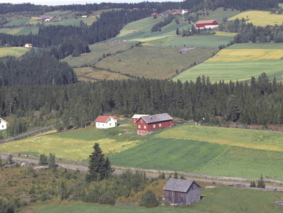 Widerøes Flyveselskap A/S, Flyfoto, Fellungstadhagen, Lismarka, Ringsaker.