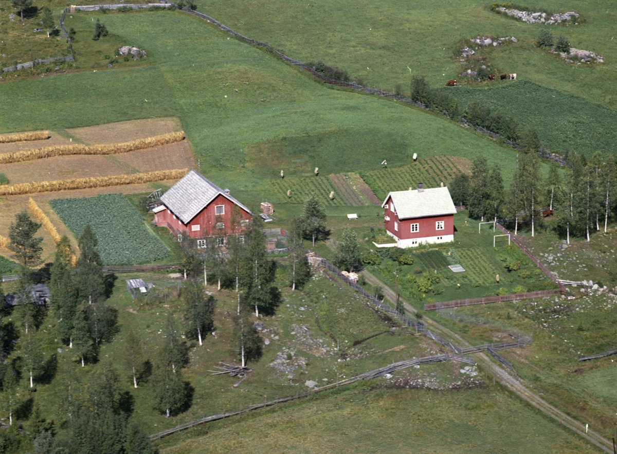 Widerøes Flyveselskap A/S, Flyfoto, Oddsæteren g.nr. 505.1. Lismarka, Ringsaker.