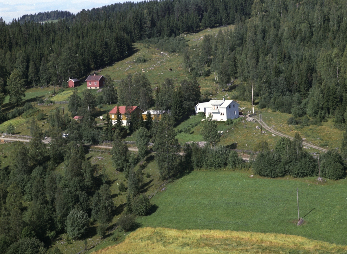 Widerøes Flyveselskap A/S, Flyfoto, fra venstre er Engeli, Bjørkely og Bjørkhaug, Lismarka, Ringsaker.