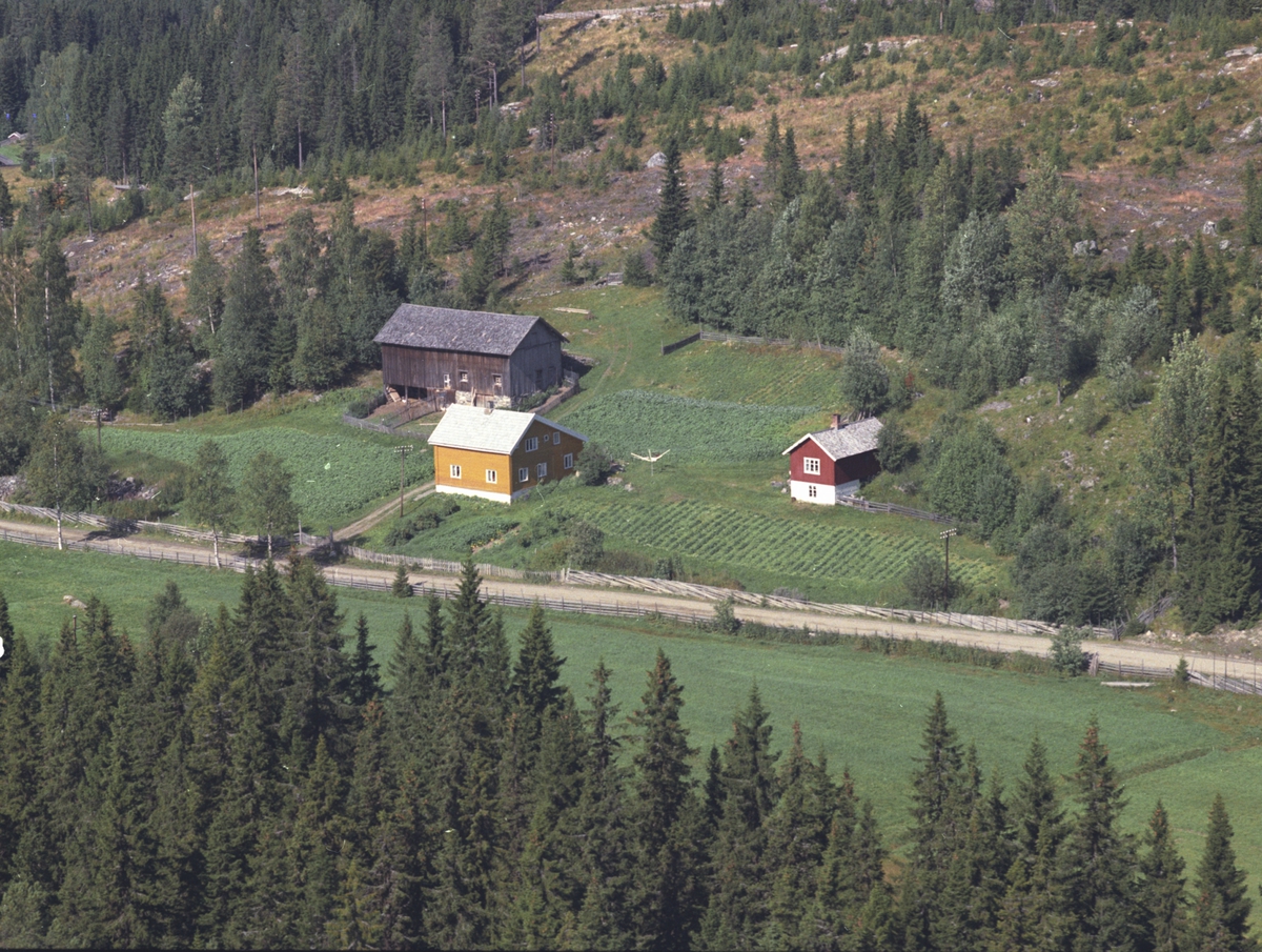 Widerøes Flyveselskap A/S, Flyfoto, Jørgensborghagan 445.4, Lismarka, Ringsaker.
