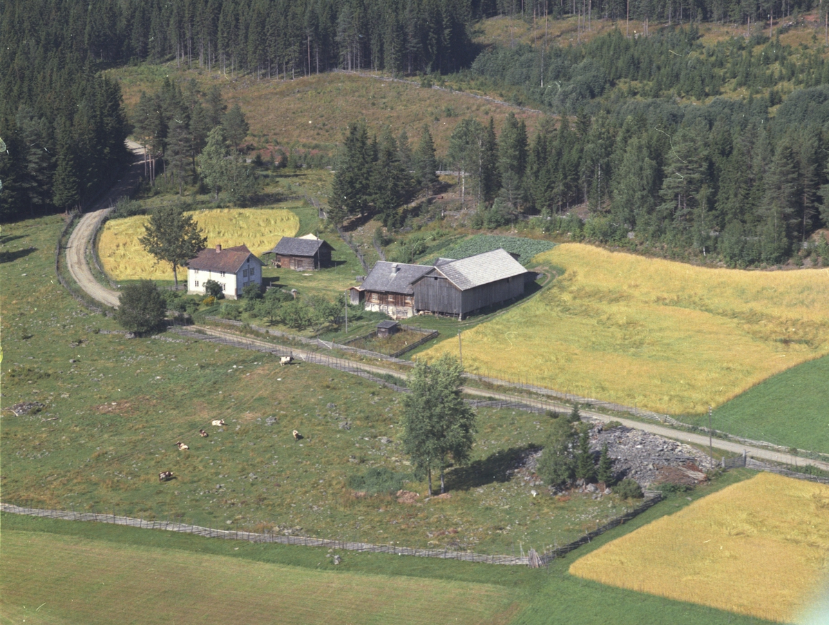 Widerøes Flyveselskap A/S, Flyfoto, Storsveen 421.5. Lismarka, Ringsaker.