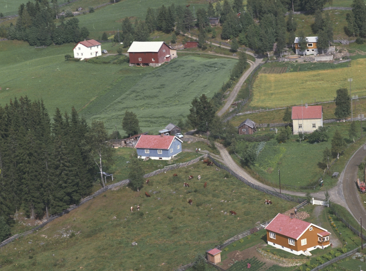 Widerøes Flyveselskap A/S, Flyfoto, ukjent bebyggelse, Lismarka, Ringsaker.