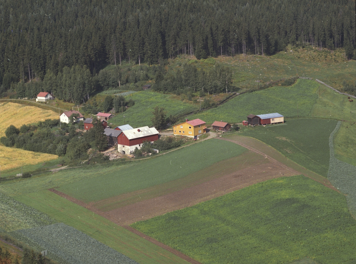 Widerøes Flyveselskap A/S, Flyfoto, ukjent gardsbruk, Bergseng, Ringsaker.