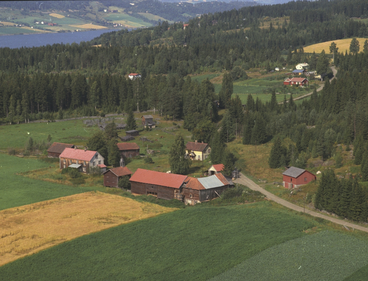 Widerøes Flyveselskap A/S, Flyfoto.Hauknes gård, Bergsengroa, Brøttum., Ringsaker.
