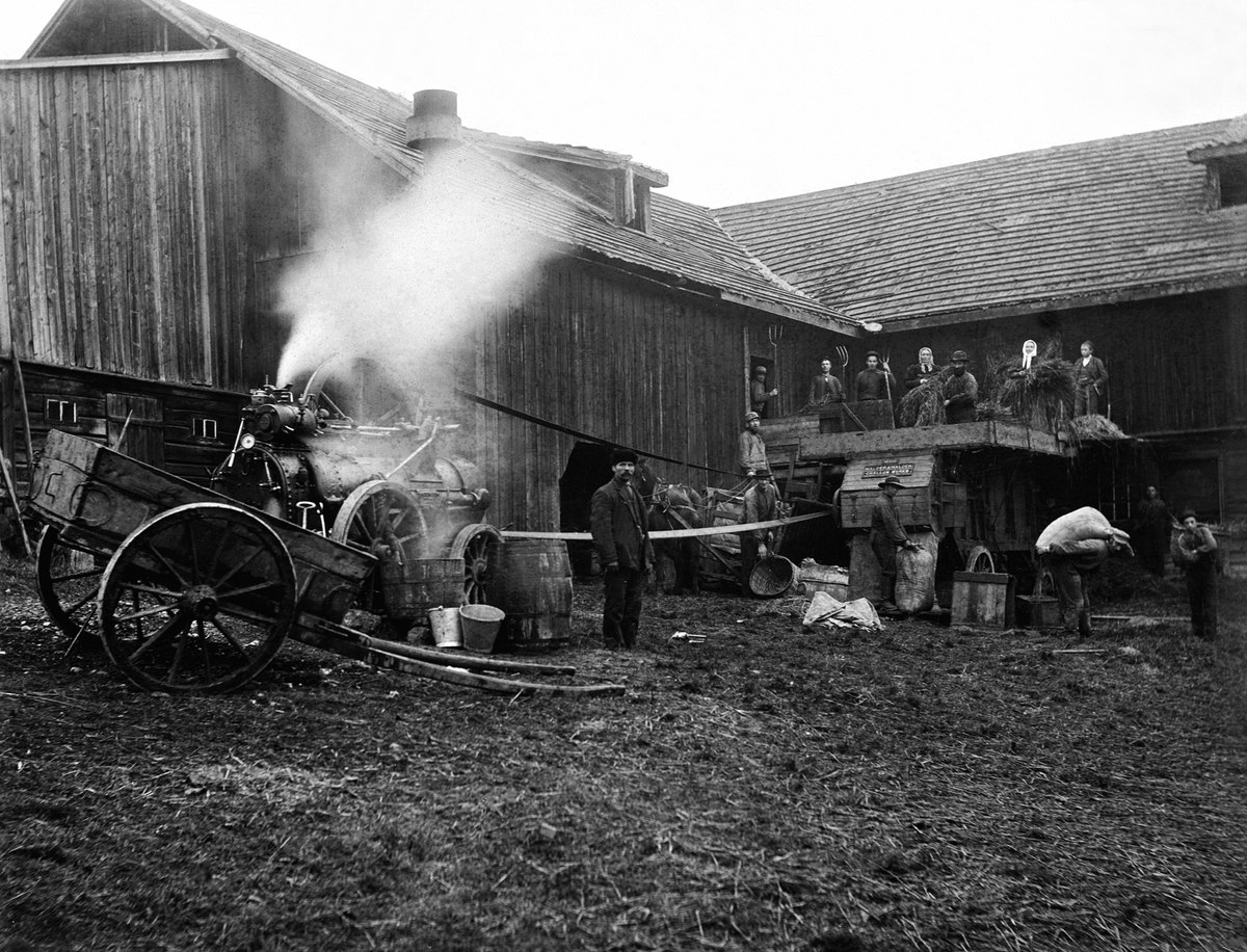 Anno Domkirkeodden, Treskelag i arbeid på Kvam, Nes, Hedmark. Nalder & Nalder treskeverk fra Challow Works, England. Damptreskeverket "Gunhild" og dampkjelen "Mikkel". Thomas Børke var maskinist.