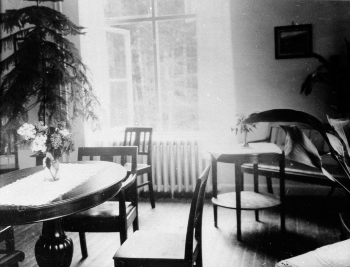 Anno Domkirkeodden, Interiør, oppholdsrom med bord og stoler, planter, Ringsaker sykehus, Moelv.