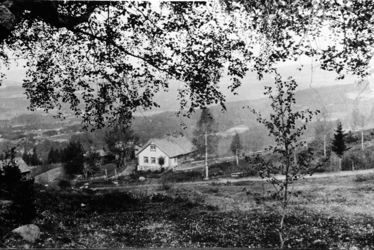 Anno Domkirkeodden, Brattengen, gardsbruk, Furnes, Ringsaker.