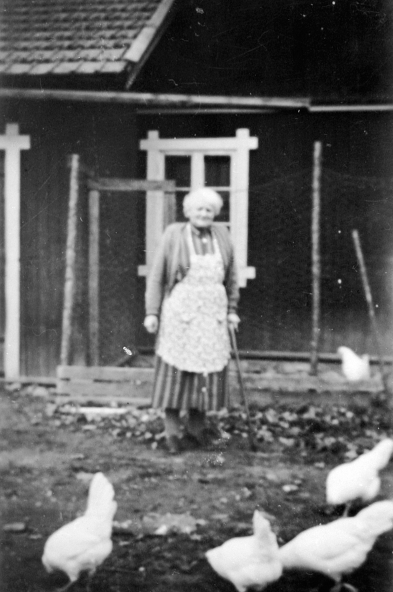 Anno Domkirkeodden, Mina Lundby med forkle og stokk, hønsegård, Buttekvern gard, Brumunddal.