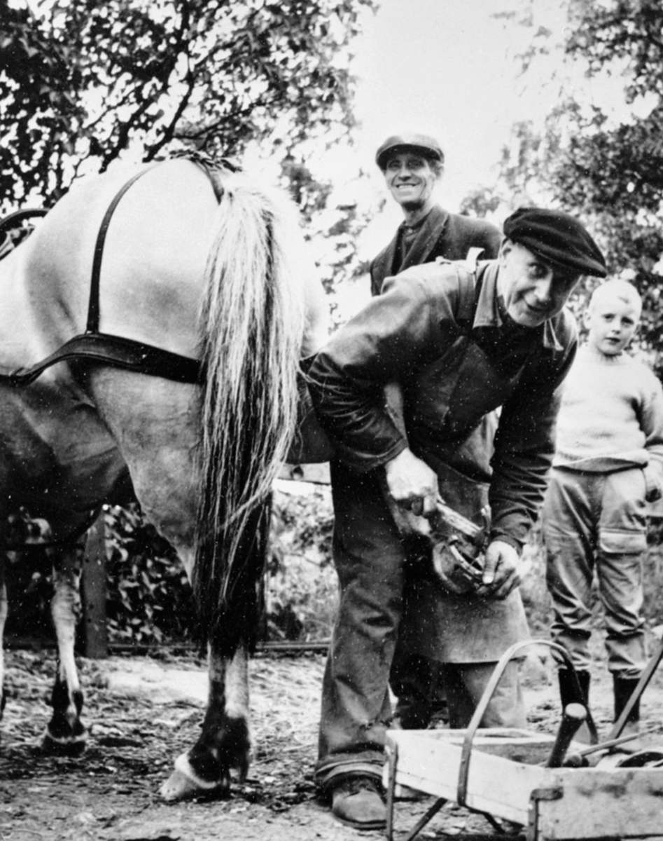 Anno Domkirkeodden, Smed Martinius Larsen skor hest for Nysæther som eier hesten. Gutten er muligens Jan Berg. Kongsveien 12, Brumunddal.