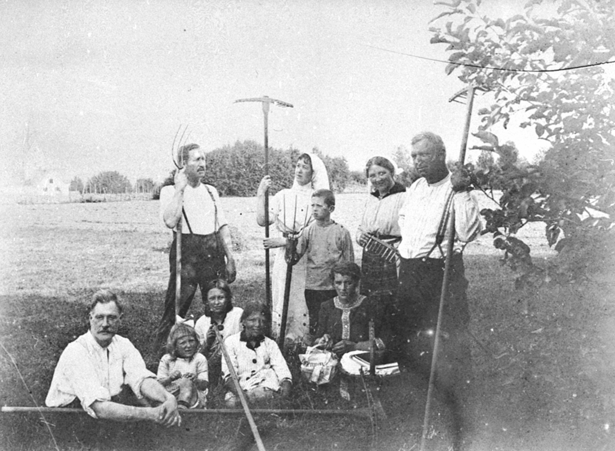 Anno Domkirkeodden, Høyonn på Flisaker gard, Veldre, Ringsaker. Foran fra venstre er Otto Joergis, Edle, Elisabeth, Emmy Joergis, Gunda Olstad. Bak fra venstre er Willy Joergis, fru doktor Gruner, Otto Joergis, Gunvor Joergis og hennes mann.
