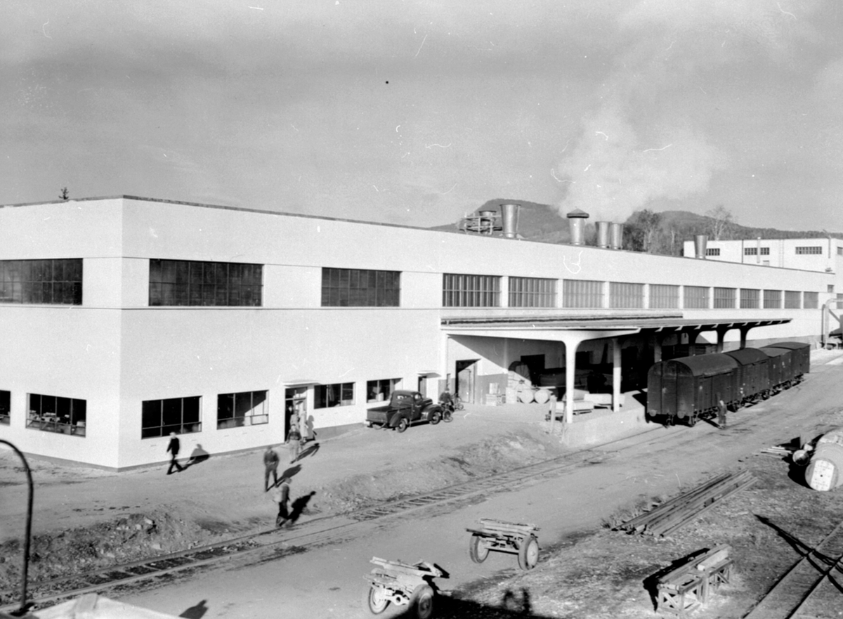 Anno Domkirkeodden, Oversikt Berger Langmoen A/S, fabrikkområdet, Brumunddal, jernbanevogner ved lasterampa til wallboardfabrikken, tog på sidespor.