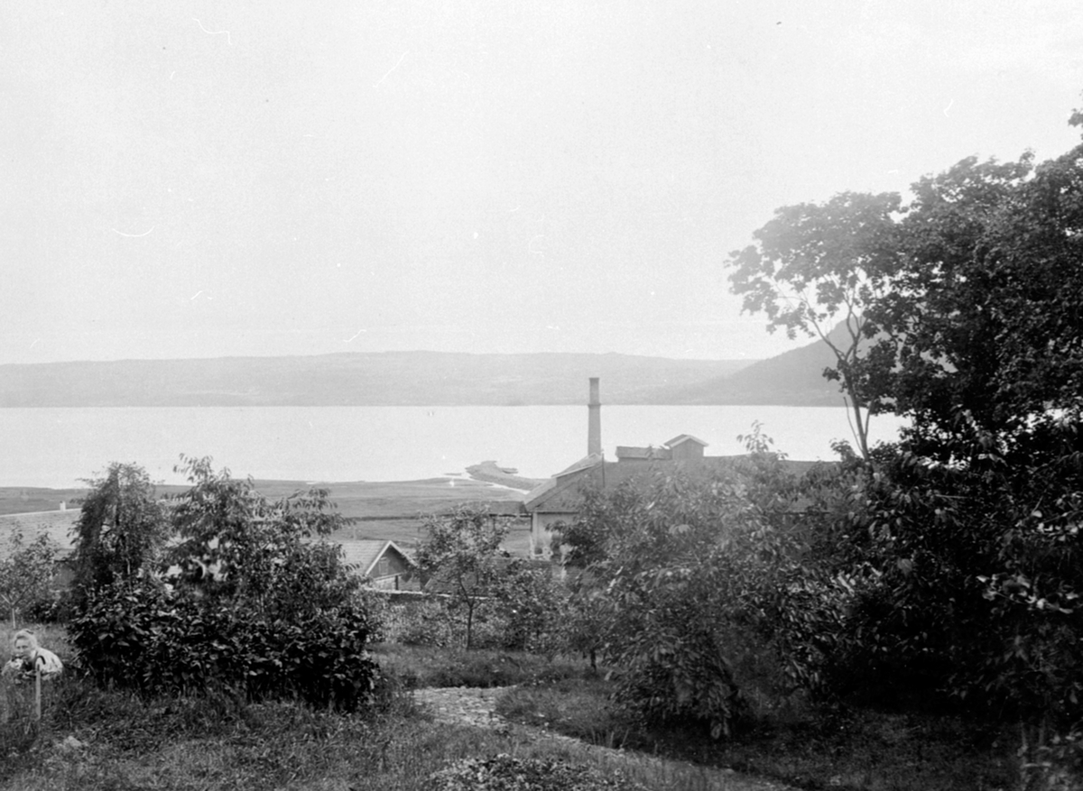 Anno Domkirkeodden, Utsikt fra hagen på Nederkvern gård mot Mjøsa. Brenneripipa til høyre for midten. Brumunddal.