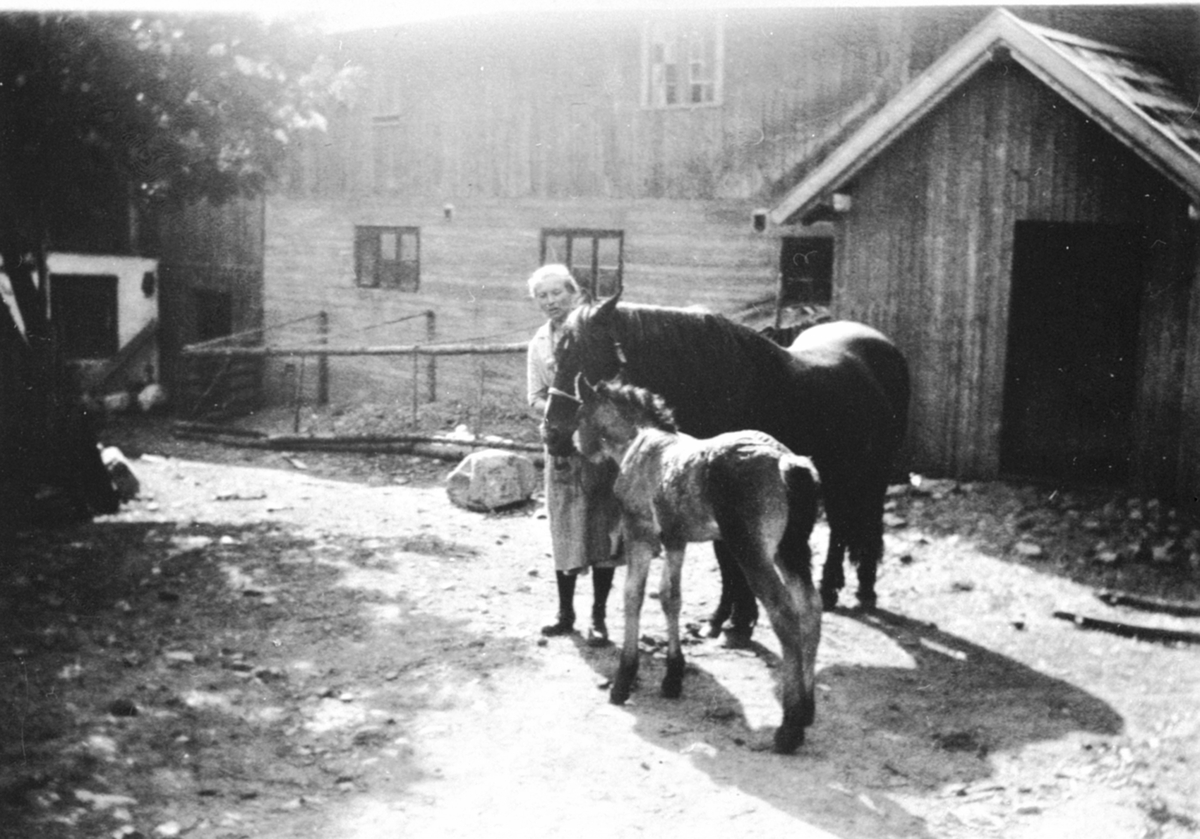 Anno Domkirkeodden, Tora Kvisberg med hest og føll på gardstunet på Rognstad, Veldre, Ringsaker.