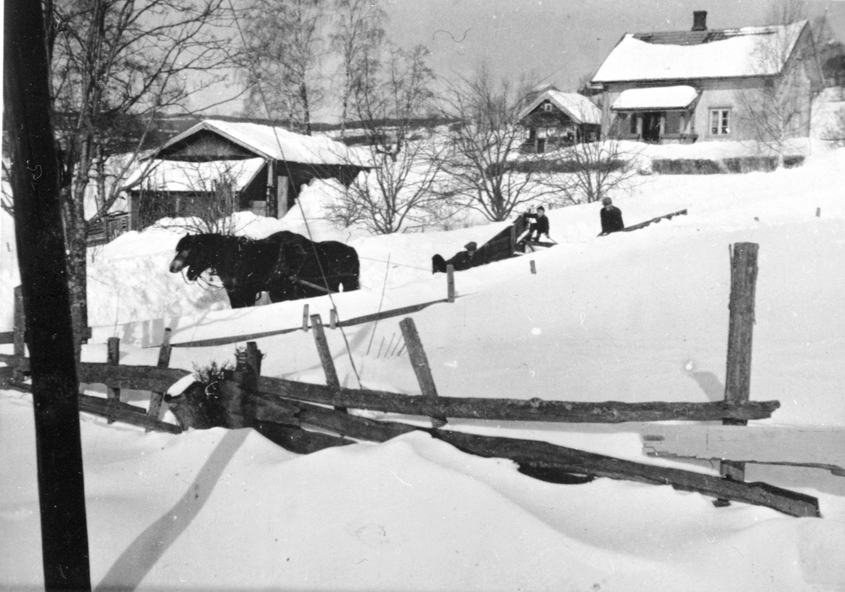 Anno Domkirkeodden, Snørydding med tre hester og snøplog på Børke nordre, Veldre, Ringsaker.