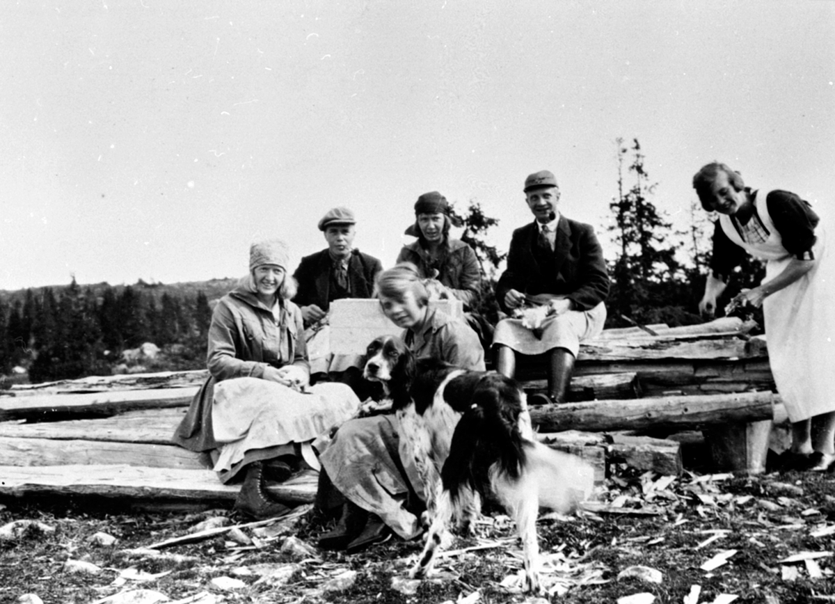 Anno Domkirkeodden, Flåing av ryper etter rypejakt, Øyungen, Ringsakerfjellet, helt til høyre Astrid Glestad.