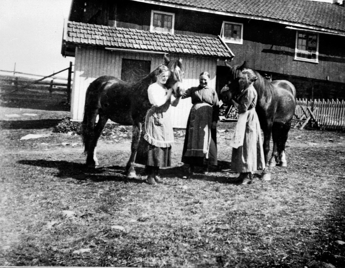 Anno Domkirkeodden, Tre damer med to hester. Fra venstre er Gudrun Storlien, Marie Storlien, ukjent. Storlien gård, Veldre, Ringsaker.