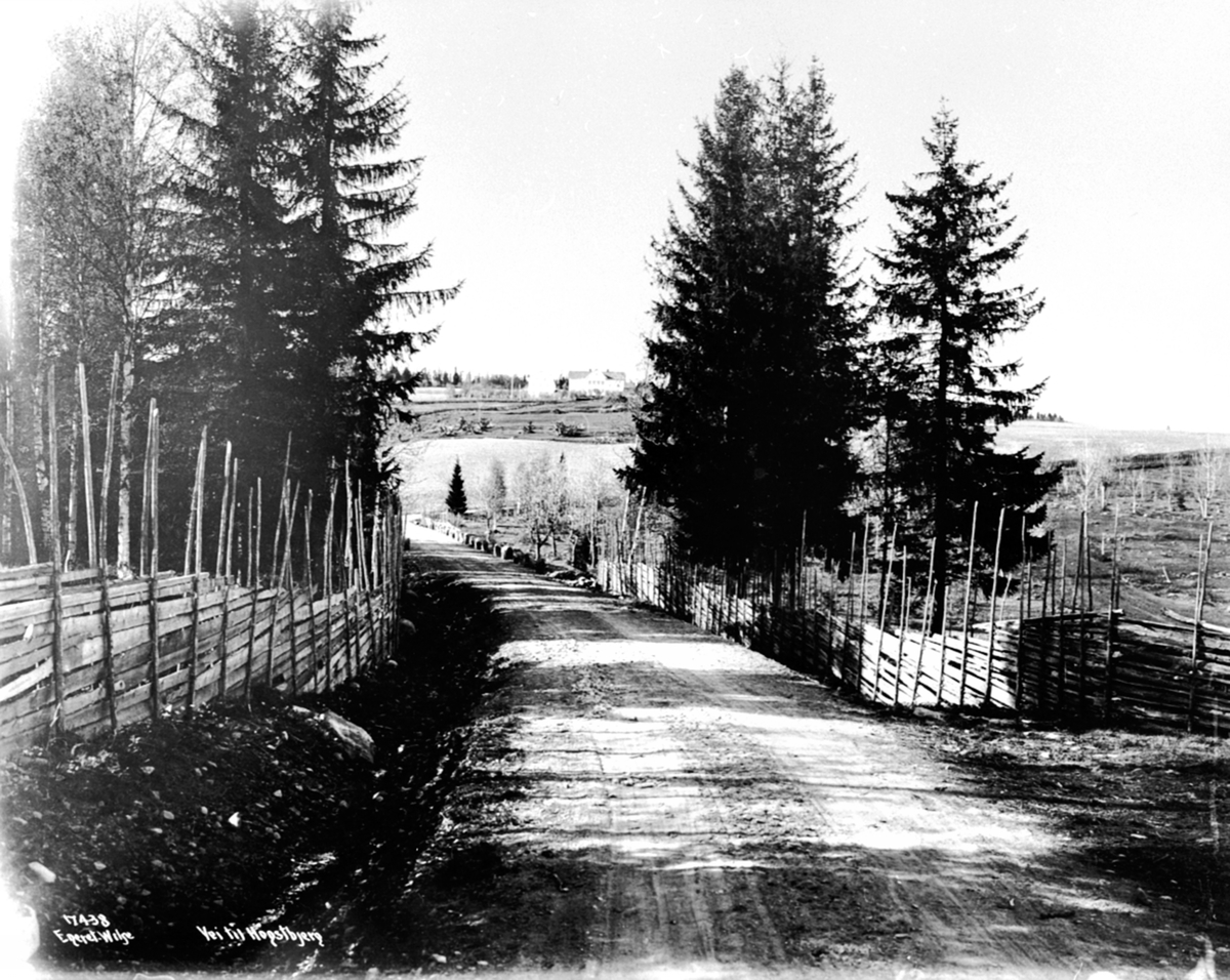 Anno Domkirkeodden, Høsbjørvegen mot Skjellungberg, Furnes, Ringsaker. Skigard.