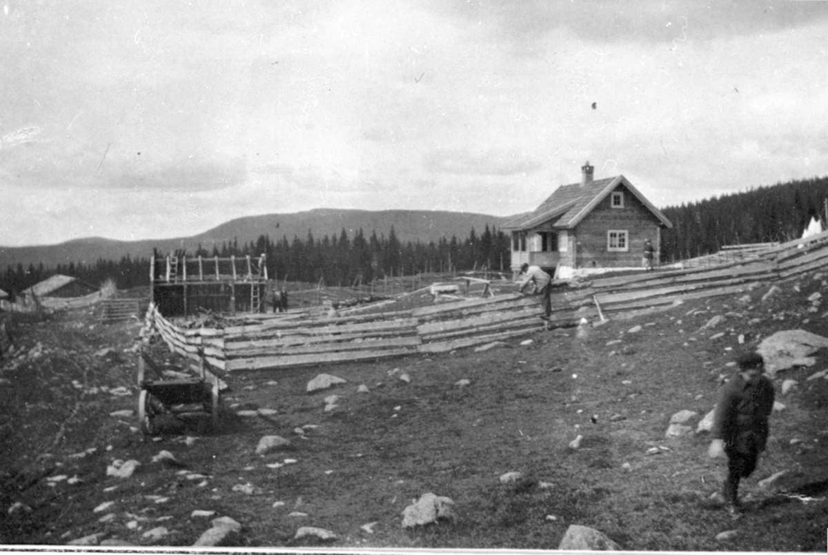 Anno Domkirkeodden, Lauvlia seter. Seter for Sendstad gård. Ringsakerfjellet.