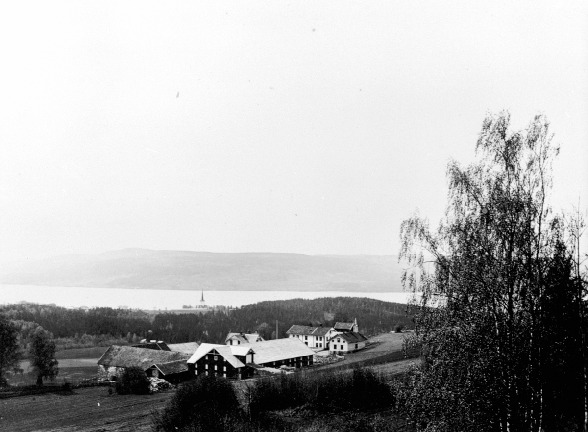 Anno Domkirkeodden, Utsikt mot Tande gård, Ringsaker. Kirken, Mjøsa i bakgrunnen.