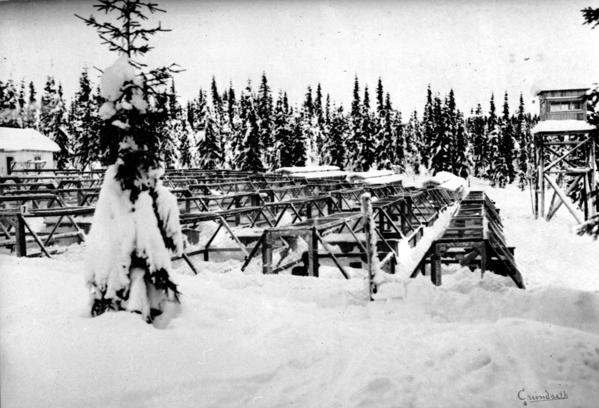 Anno Domkirkeodden, M. Steens pelsdyrfarm, Solstad pelsdyrgård, Gjerdengen, Veldre, Ringsaker.