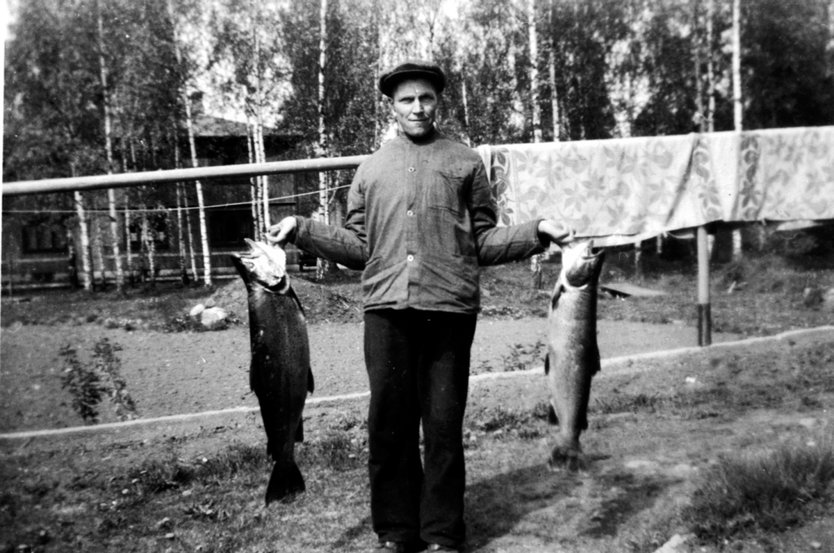 Anno Domkirkeodden, Mjøsfisker, Nils Hovelstuen, Furnes med 2 mjøsørreter.