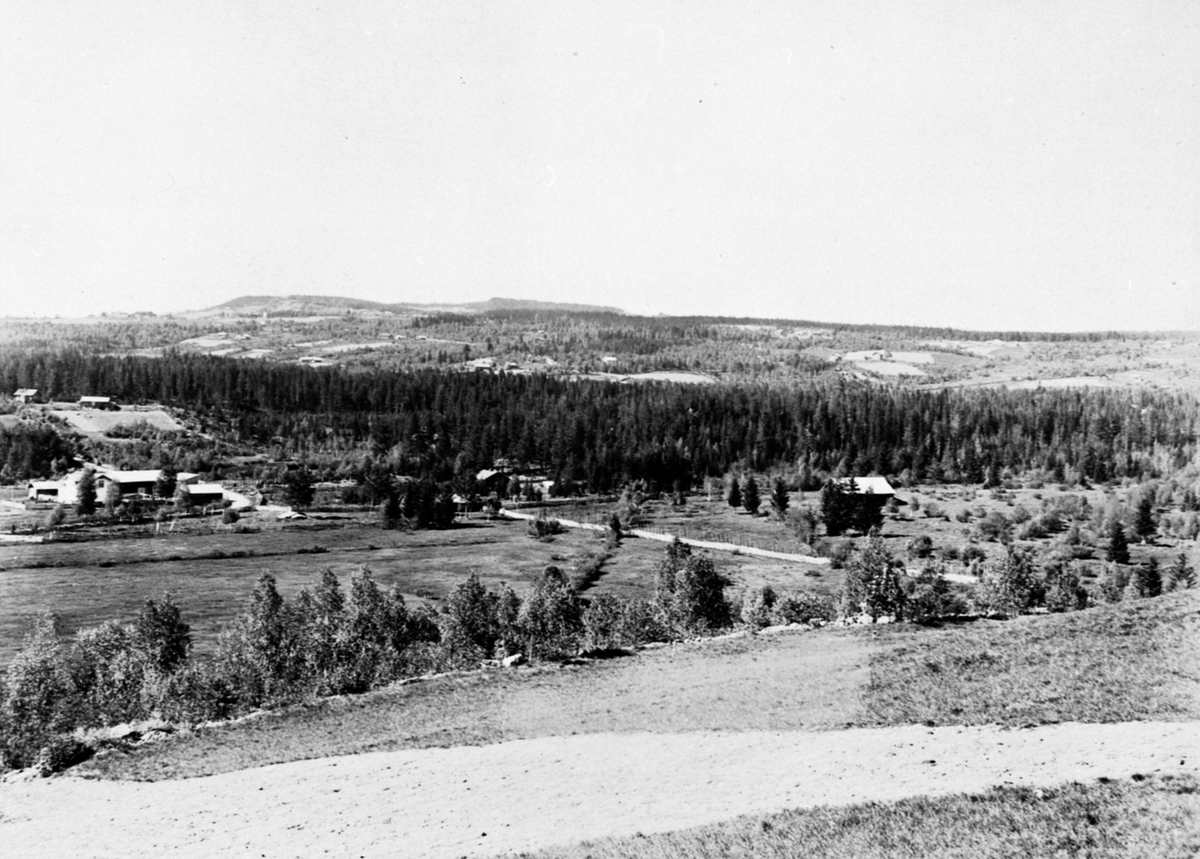 Anno Domkirkeodden, Utsikt, Arneberg, Åsmarka, Ringsaker.