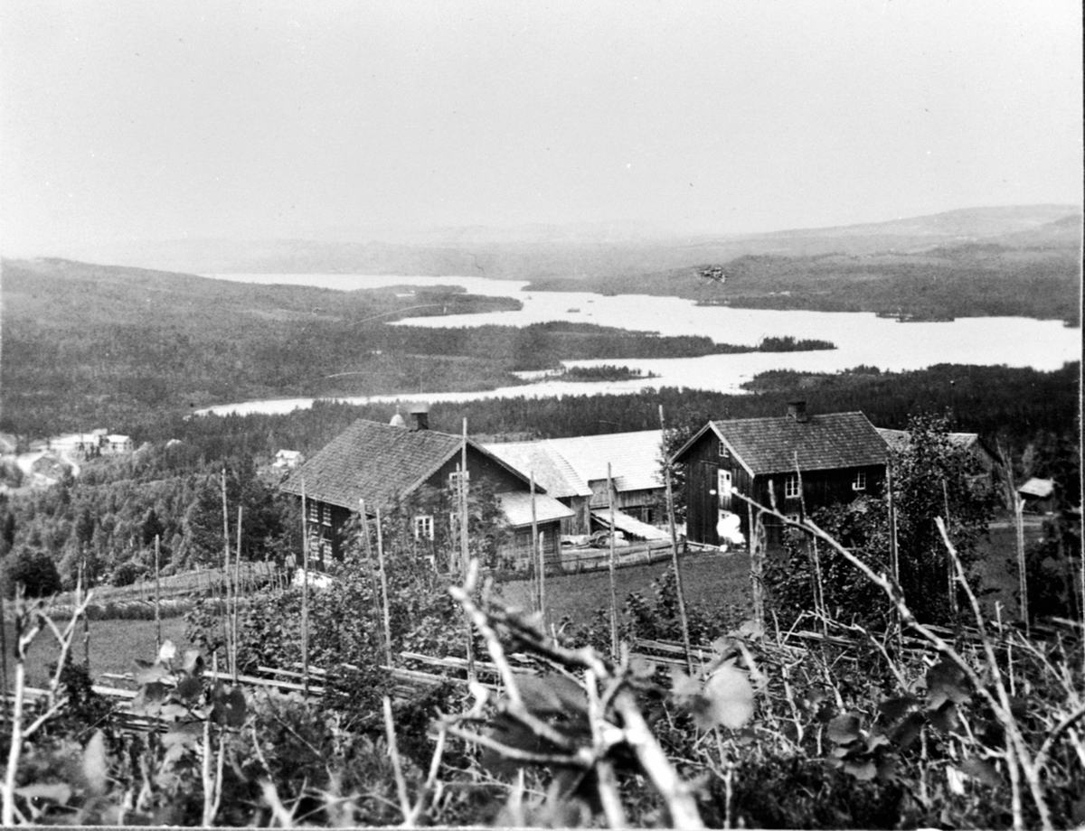 Anno Domkirkeodden, Kvisla gård med Næra i bakgrunnen, Næroset, Ringsaker.