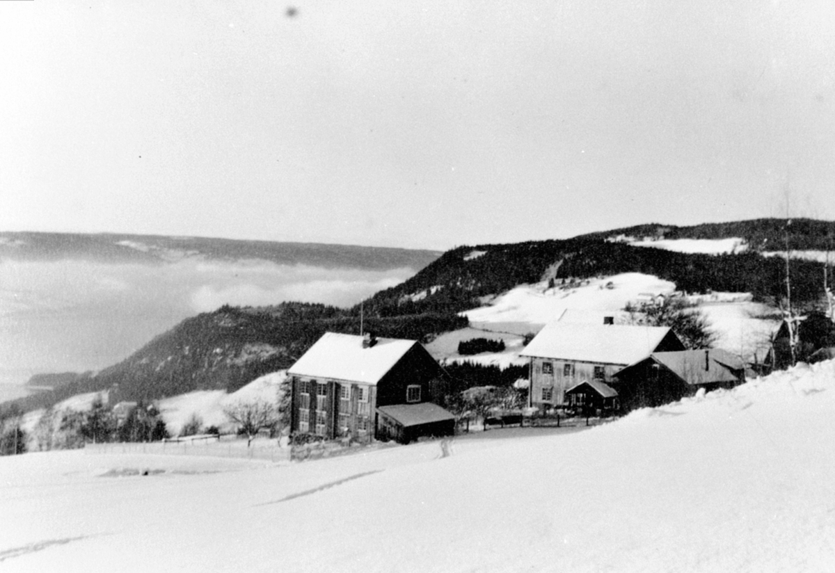 Anno Domkirkeodden, Oversikt, Syljuåshagen gård, Ring, Ringsaker.