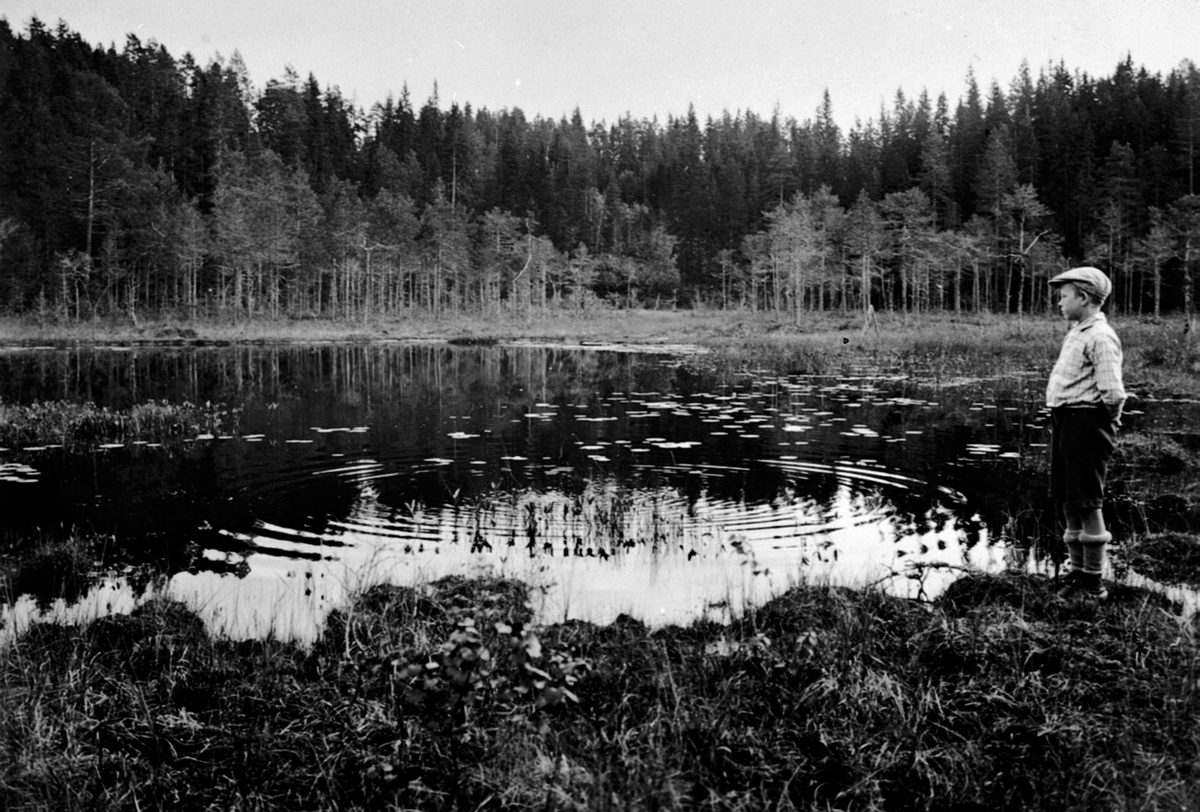 Anno Domkirkeodden, Gutt ved Svartbekktjernet ovenfor Kvarstadseter, Ringsakerfjellet.