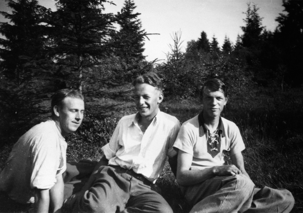 Anno Domkirkeodden, Alf Prøysen, Aage Oswold, Johannes Haga i Lybekkhamninga, mellom plassene Prøysen og Russland på Rudshøgda, Ringsaker.