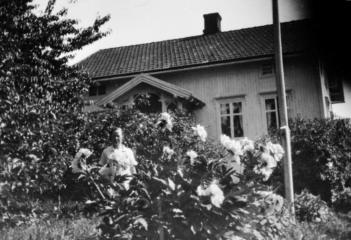 Anno Domkirkeodden, Josefine Aarlien i hagen. Aarlien, Nes.