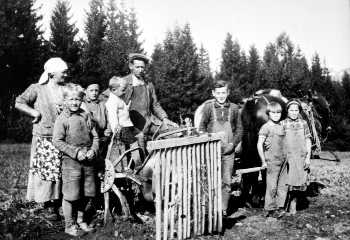Anno Domkirkeodden, Bildet viser potetonn i Torp (småbruk som Ottar og Anne Marie Aarlien eide på Nes - Hedmark). Fra venstre: Anne Marie Aarlien, Einar Aarlien, Oddvin Aarlien, Svein Erik Aarlien, Ottar Aarlien, Magne Aarlien, Astrid Aarlien og Ruth Aarlien. Svein Erik er den som sitter på fanget (født 1933), av den …
