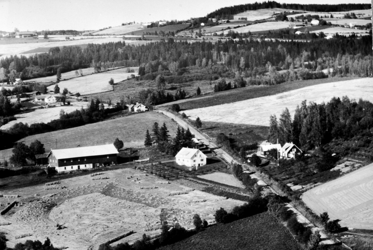 Anno Domkirkeodden, Flyfoto, gardsbruk, Kokshus, Hasselbakken, Nes, Hedmark.