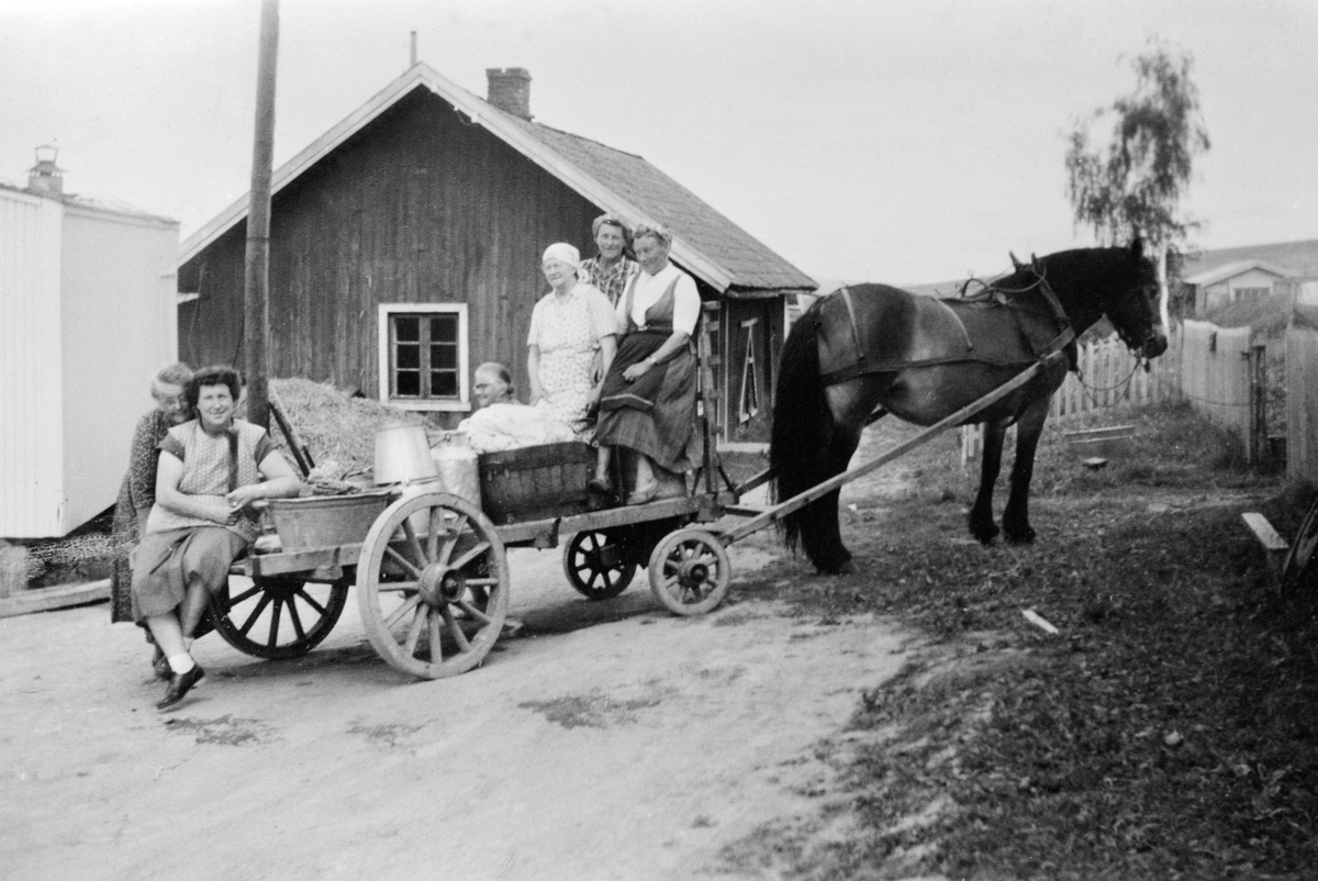 Anno Domkirkeodden, Klesvask på Stav, Helgøya. Hest og kjerre med stamper og bøtter. Fra venstre : Martha Jensen, Helga Sund, ukjent, ukjent, ukjent, ukjent.