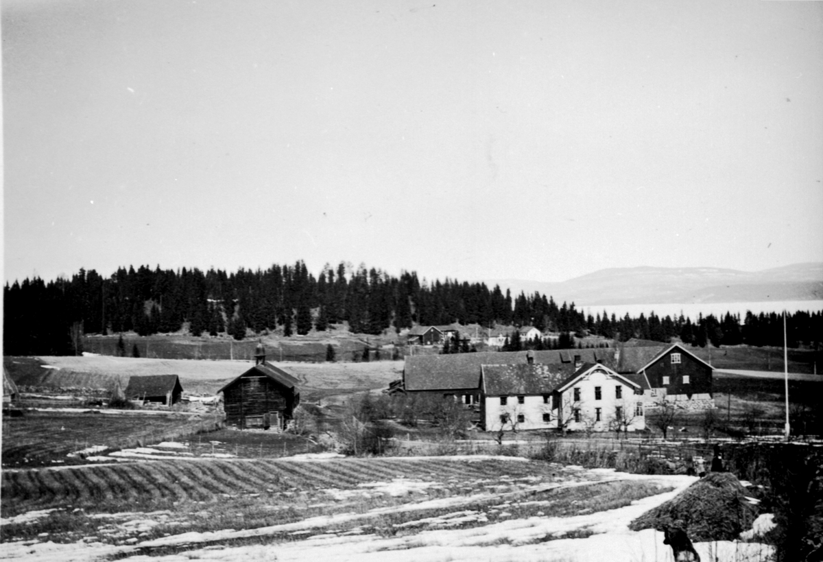 Anno Domkirkeodden, Utsikt fra Stabbursjordet på Lodviken, Helgøya, Presterud er gården i bakgrunn.