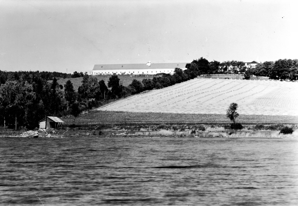 Anno Domkirkeodden, Hovinsholm gård, Helgøya sett fra Mjøsa.