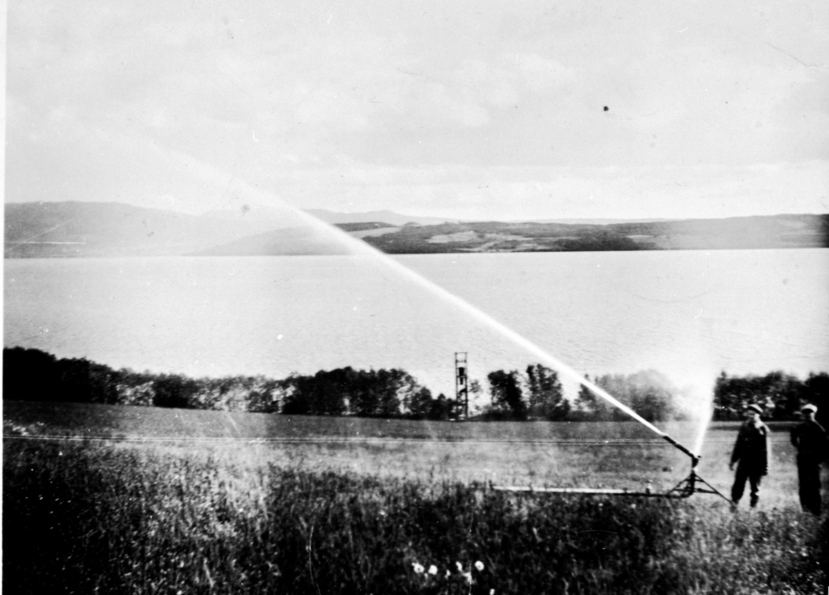 Anno Domkirkeodden, Vanningsanlegg på Hovelsrud, Helgøya. Anlegget ble slått på den 17. juni 1938. Kapasitet på 750 liter i minuttet. Her er det "Veståker" som vannes. Utsikt mot Mjøsa.