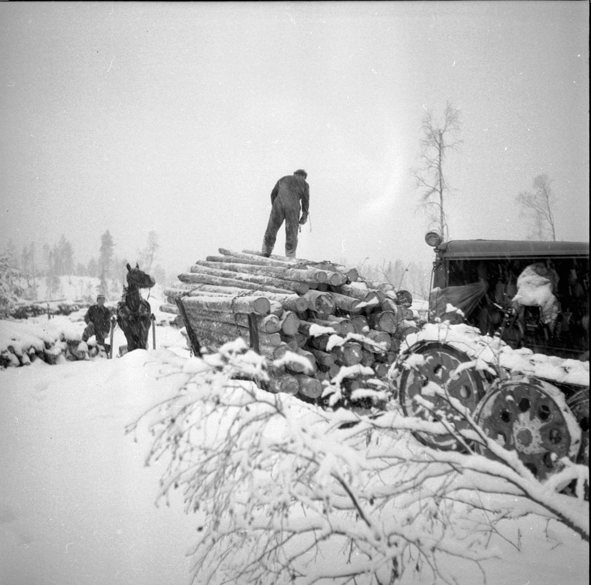Anno Domkirkeodden, Tømmertransport med beltevogn. Hest med slede. To menn. Berger Langmoen AS, Brumunddal.