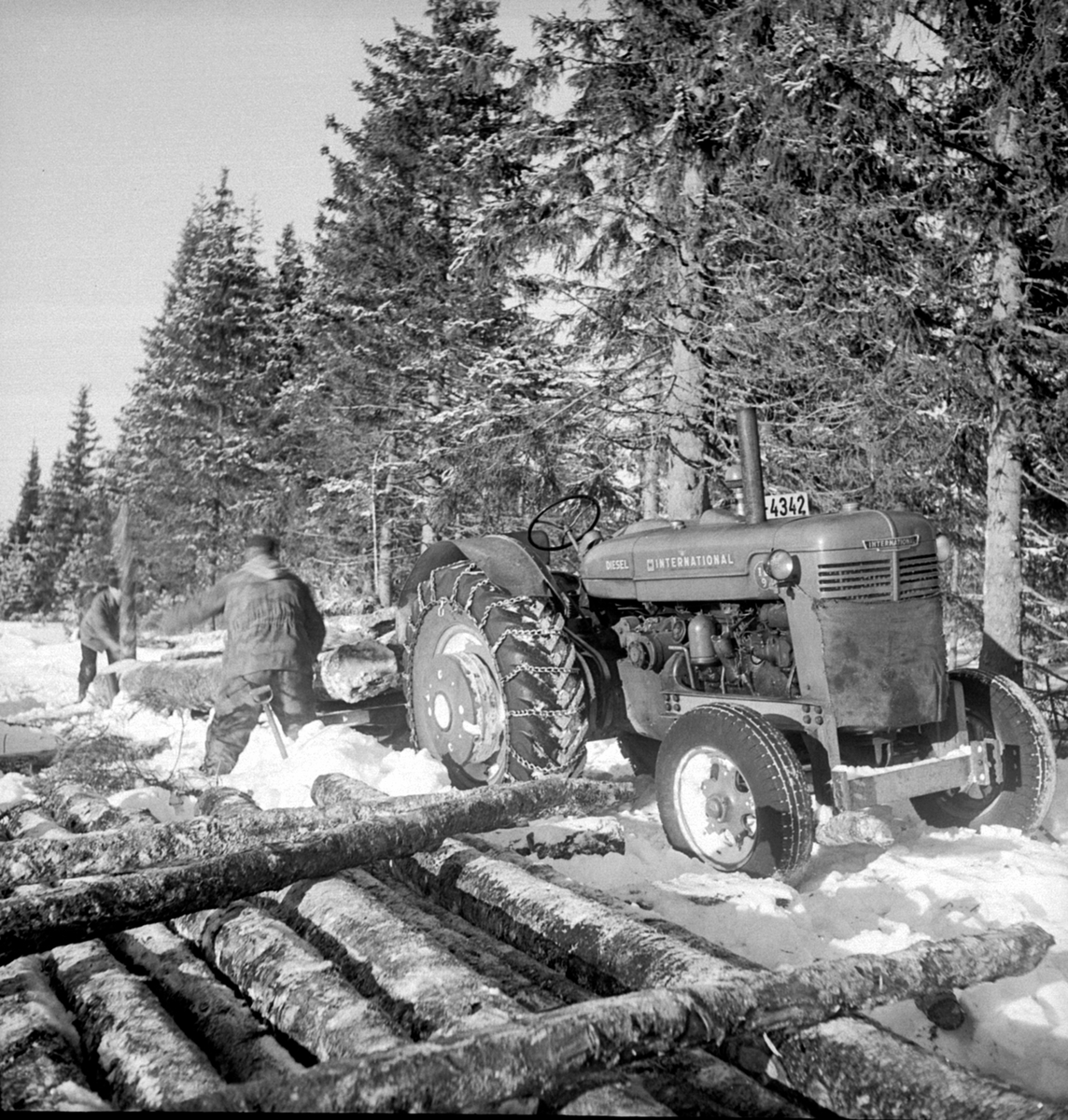 Anno Domkirkeodden, Tømmertransport med en International traktor med kjetting. D-4342. To menn arbeider ved tømmervelta. Berger Langmoen A/S. Ringsaker.