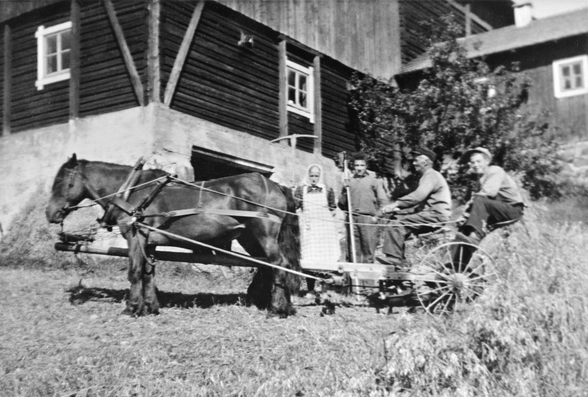 Anno Domkirkeodden, Skuronn på Hangenholen midtre, Furnes, Ringsaker. Hester med slåmaskin, avlegger for korn. Fra venstre er Anna Hangenholen, Ragnvald, Mikkel, Karl Hangenholen. Såmaskin med håndavlegger, hesteredskap.