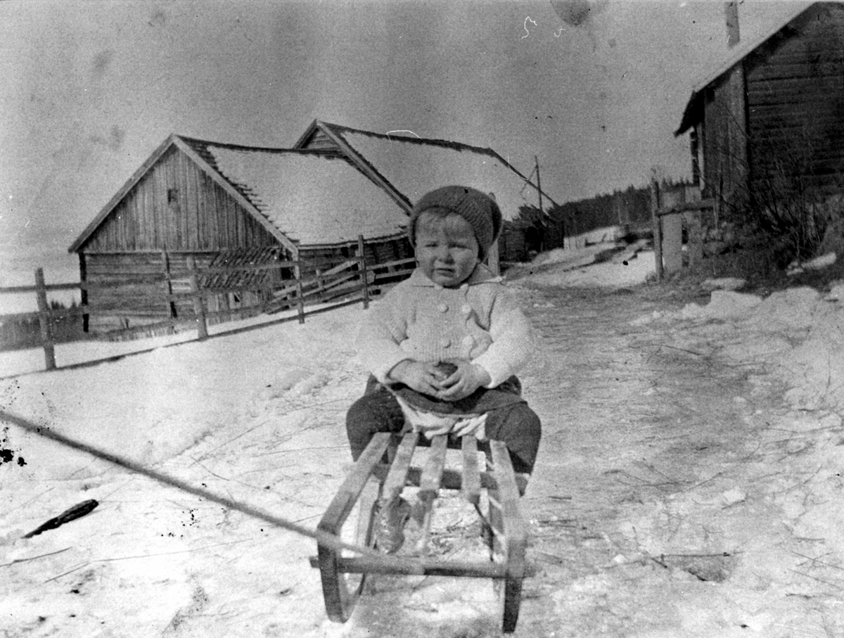 Anno Domkirkeodden, Gerhard Vien f.1917 på kjelke utenfor gamle uthus på Grimsrud, Helgøya.