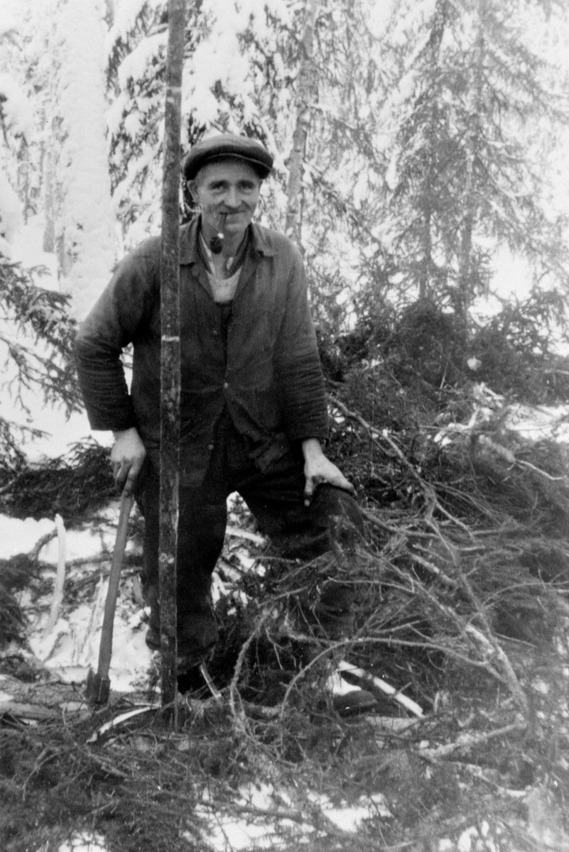 Anno Domkirkeodden, Olaf Bekkelund på tømmerhugging med svans, øks, Helgerena ved Sør-Mesna, Ringsaker.