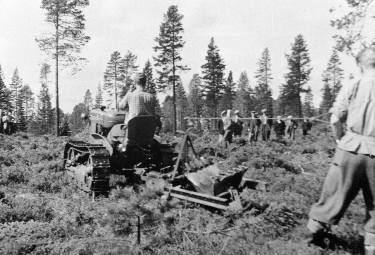 Anno Domkirkeodden, Bruksrettbefaring i Ringsaker Almenning, demonstrasjon av Oliver Cletrae med markberedningsharv. Oliver OC-3, 1952-modell med hydraulisk frontskjær og AMA ensylindret kompressor bak (via reimhjul).
